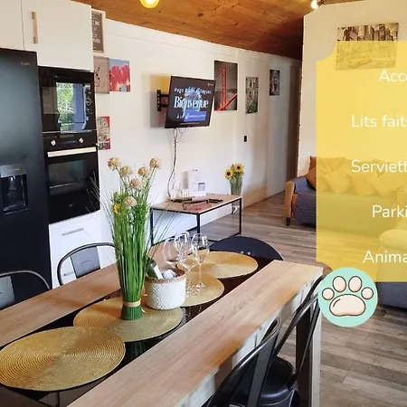 Hébergement de vacances Escapade Du Roi Henri Iv A Entierement Privee 6 Personnes & Bebe Avec Spa, Brasero & Piscine Ideale Vacances, Week-end, Repos Ou Teletravail Pau